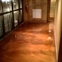 The_Jungle_at_Comerica_Park_Detroit_Seamless_epoxy (31)